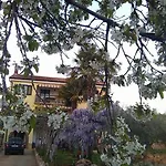 App Carla Novigrad Istria