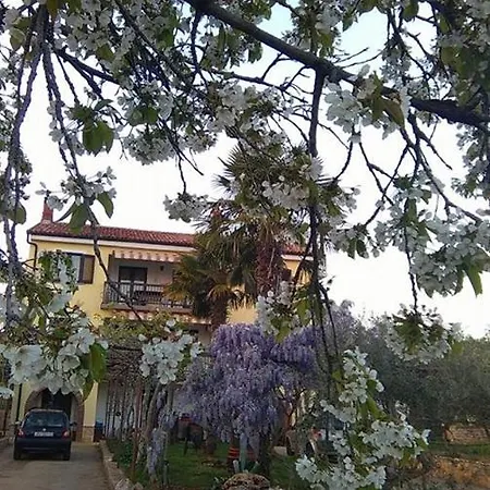 App Carla Novigrad Istria