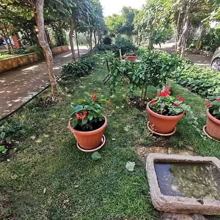 App Carla Apartamento