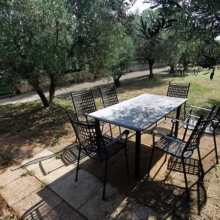 דירה App Carla Novigrad Istria